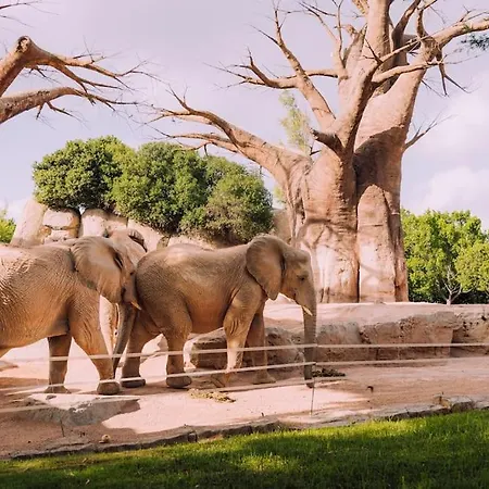 公寓 Loft Independiente De Lujo.